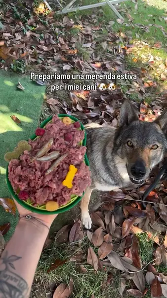 Кадр рекламы Animal Instinct