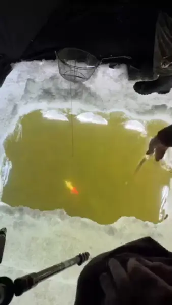 Кадр рекламы Ice Fishing Live