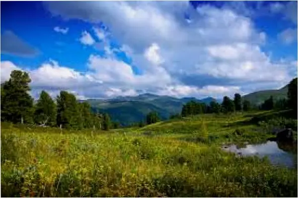 Кадр рекламы Evelyn Harper