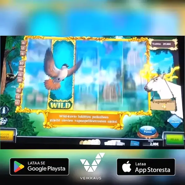 Кадр рекламы Fin Spin