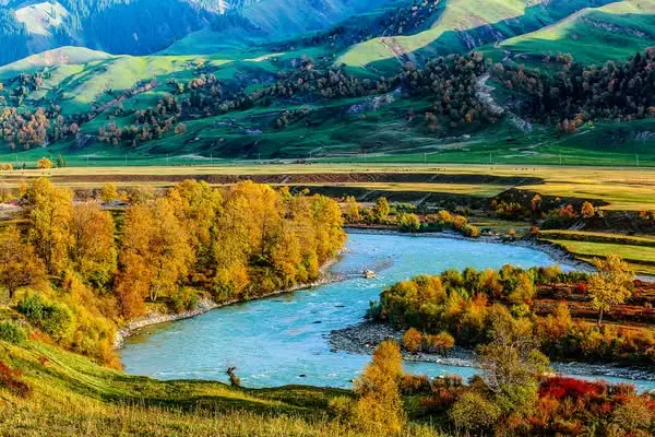 Кадр рекламы Owen Edwards